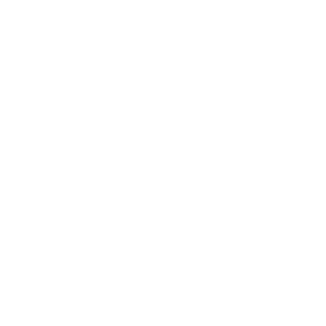 web hosting solutions