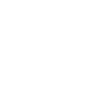it security solutions