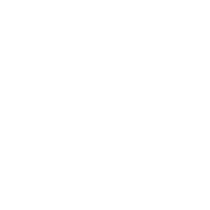it support