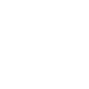 onsite it support